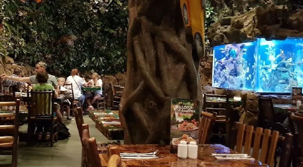 rainforest cafe in dubai mall 2